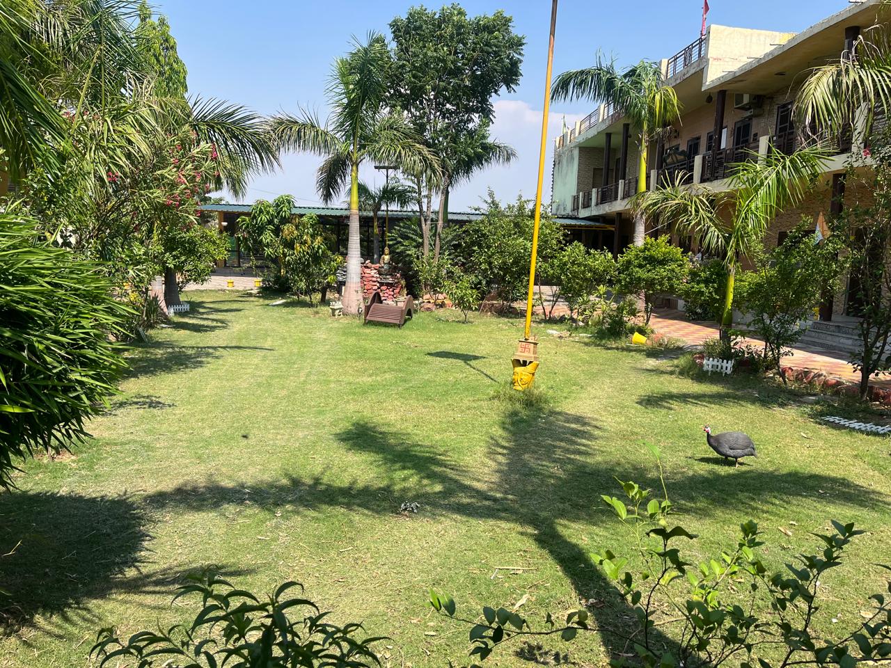 Hotel Garden